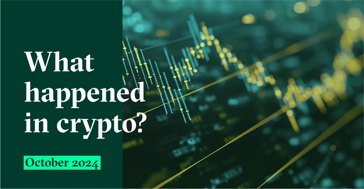 Qovex Monthly Briefing – October 2024